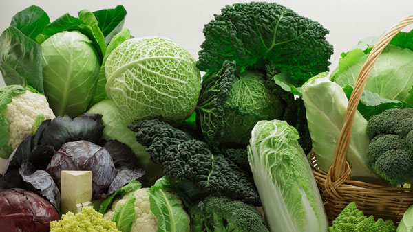  Bông cải xanh và các loại rau họ cải khác