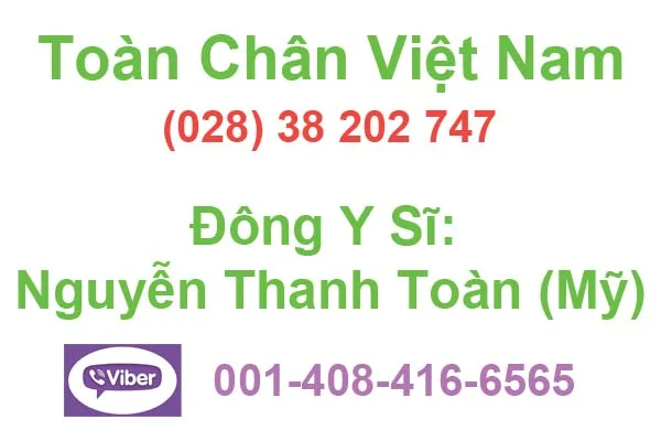 Toàn Chân Việt Nam